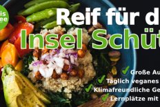 Mensa Insel Schütt ab 4. April wieder geöffnet